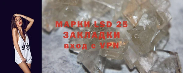 крисы Аркадак