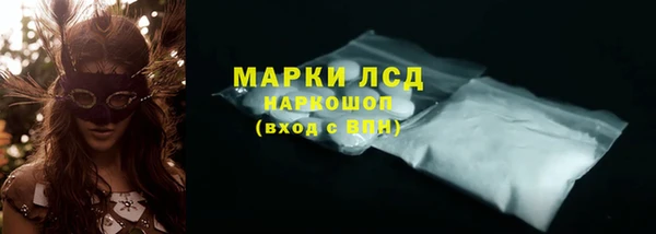 крисы Аркадак
