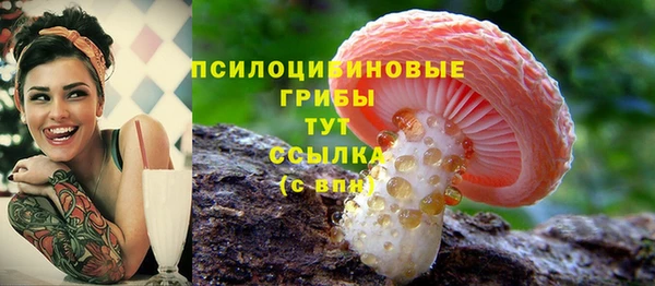 крисы Аркадак