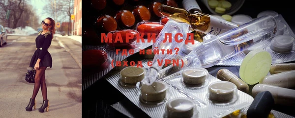 крисы Аркадак
