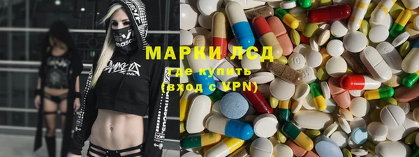 крисы Аркадак