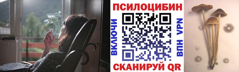 KRAKEN ССЫЛКА  Славянск-на-Кубани  Псилоцибиновые грибы ЛСД  даркнет сайт 